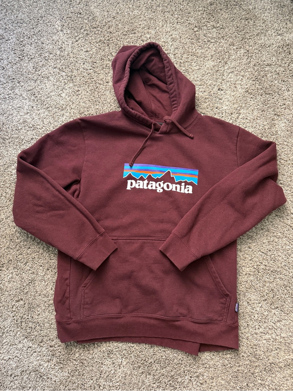 Patagonia Men's Burgundy Pullover Hoodie with Logo